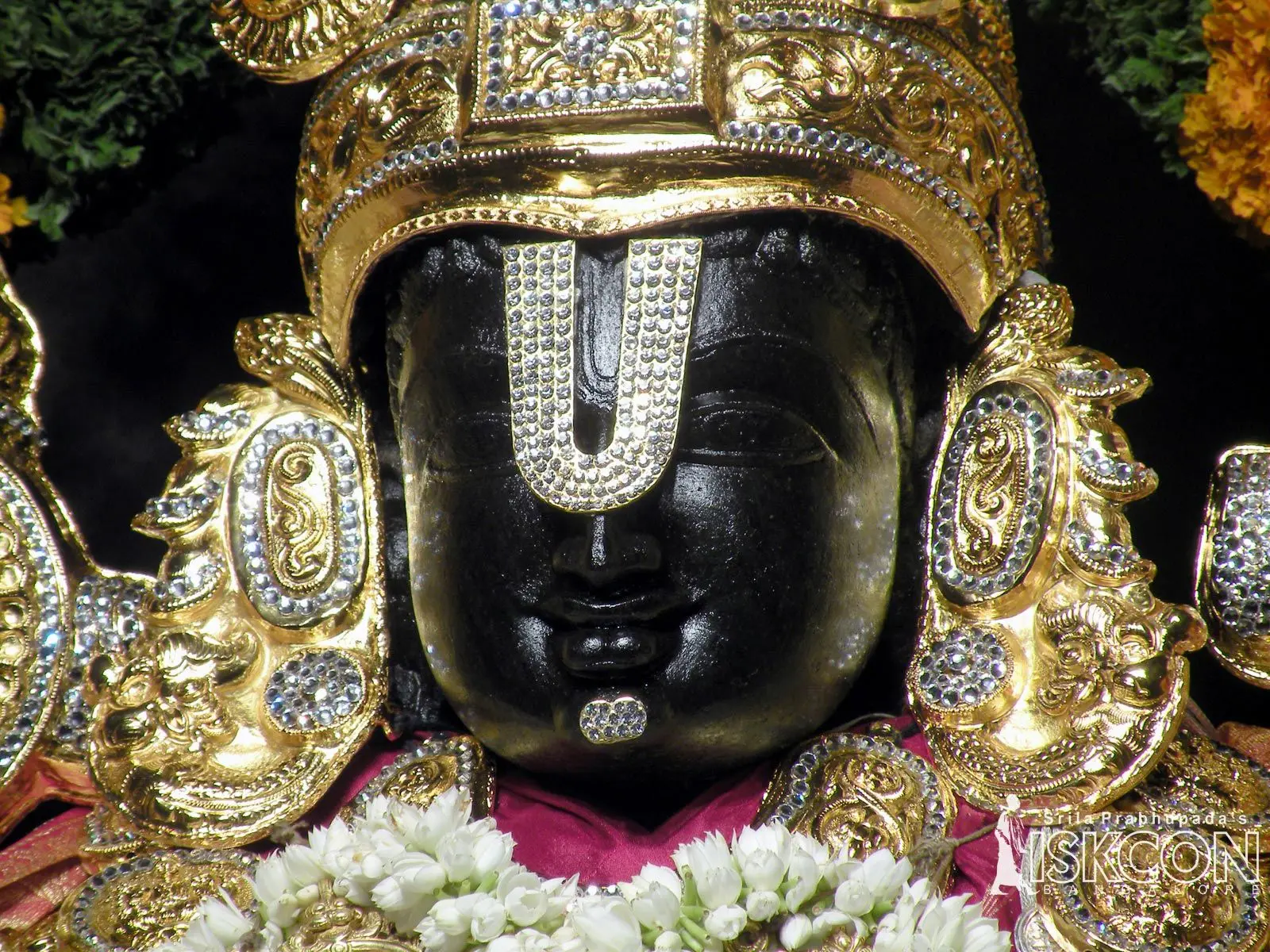 Tirupati Balaji Darshan